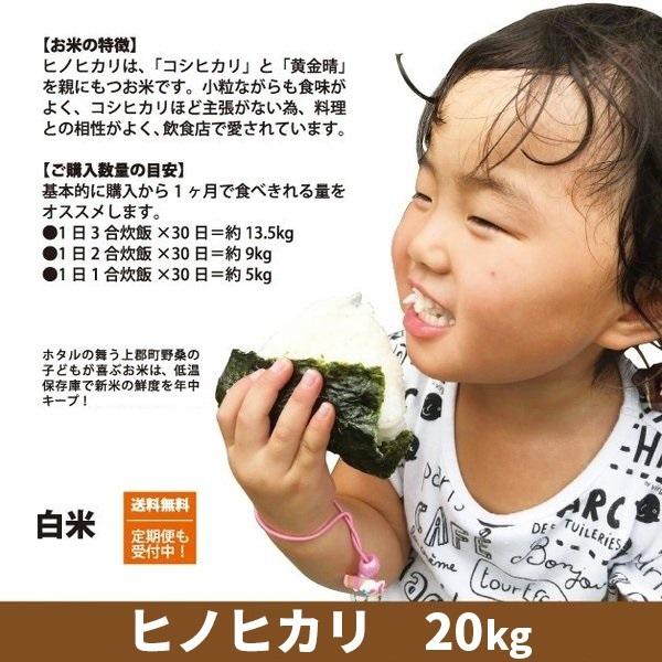 令和5年度産 ヒノヒカリ　精米　白米　20kg　兵庫県上郡町産　送料無料