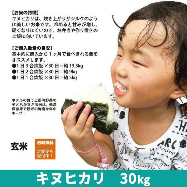 令和5年度産　キヌヒカリ　玄米　30kg　兵庫県産　送料無料