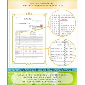 【有機栽培茶 100g】【九州福岡県産八女茶1...の詳細画像2