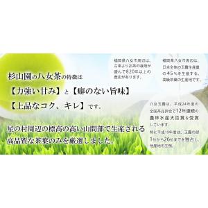 【有機栽培茶 100g】【九州福岡県産八女茶1...の詳細画像3