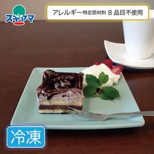 乳 卵 小麦不使用 あんしんがとう チョコケーキ ヴィーガン グルテンフリー 1個　新規取扱｜スギヤマ御器所アレルギー店