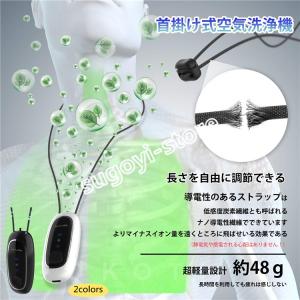 環境浄化装置 e-bless （イーブレス／プロッシュ） : プレマシャンティ