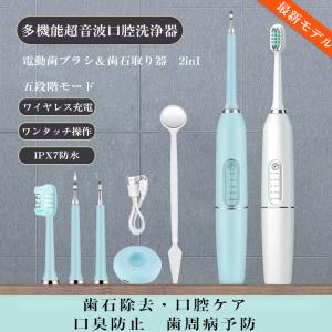 Panasonic（パナソニック） ジェットウォッシャー EW-DJ61-W 用 ノズル