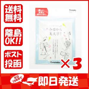 【まとめ買い ×3個セット】テキスト 呉竹 コツをつかんで今日から美文字!  DAW100-6｜suguruya2