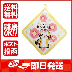 あらいぐまラスカル  ループ付き幼稚園ハンドタオル  フラワーラスカル  ループタオル  あわせ買い商品800円以上