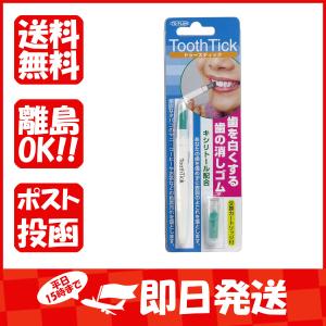 歯の消しゴム  トゥースティック  交換カートリッジ付  あわせ買い商品800円以上｜suguruya