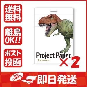 【まとめ買い ×2個セット】オキナ プロジェクトステッチメモ ティラノサウルス PM3758