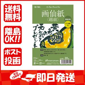 マルマン アートペーパーポストカードサイズ 画仙紙 20枚 S146C あわせ買い商品800円以上｜すぐる屋本舗ヤフーショッピング店