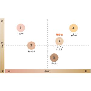 エバメール ファンデーションゲル 30g 正規...の詳細画像1