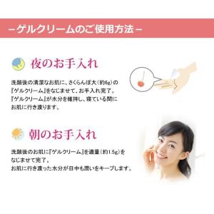 正規品 エバメール オールインワンゲル クリー...の詳細画像2