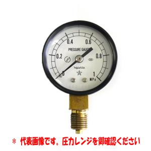 汎用圧力計 60Φ A型 G1/4ネジ 圧力レンジ0〜1.6MPa : 水道快適でいこ屋