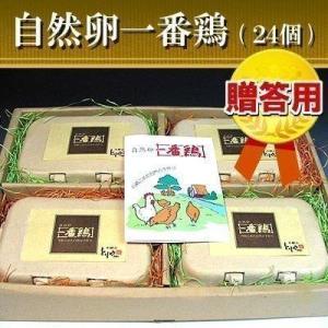 鶏卵 贈答用 放し飼い自然卵 一番鶏 20個詰 （＋破損保障分4個） ギフト箱入り 御歳暮（お歳暮）ギフト｜水郷のとりやさん ローストチキン 鶏肉 焼き鳥