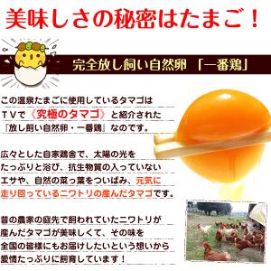 卵 温泉たまご 5個入り 温泉卵 温泉玉子 /...の詳細画像1