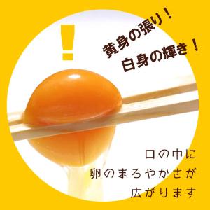 卵 温泉たまご 5個入り 温泉卵 温泉玉子 /...の詳細画像2