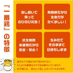 卵 温泉たまご 5個入り 温泉卵 温泉玉子 /...の詳細画像3