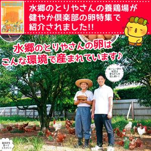 卵 温泉たまご 5個入り 温泉卵 温泉玉子 /...の詳細画像4