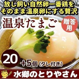 卵 贈答用 温泉たまご 25個詰 （20個＋破損保障分5個）