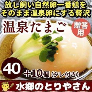 卵 贈答用 温泉たまご 40個詰 （＋破損保障分10個） 温泉卵