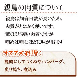 鶏肉 かたい親鳥 もも肉 350g 親どり 親...の詳細画像3