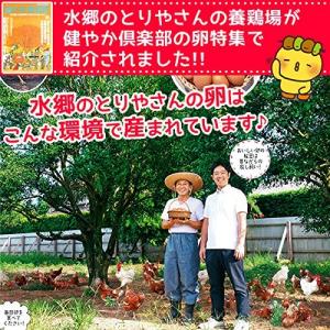 鶏肉 かたい親鳥 もも肉 350g 親どり 親...の詳細画像4