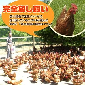 鶏肉 かたい親鳥 もも肉 350g 親どり 親...の詳細画像5