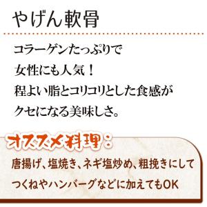 鶏肉 国産 ヤゲン やげん 軟骨 約500gの詳細画像1