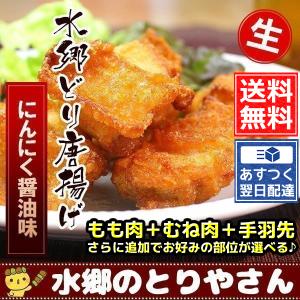 唐揚げ 水郷どり にんにく醤油 から揚げ 生 未調理 鶏もも肉 からあげ 鶏肉 国産 水郷鶏 冷凍 業務用 1kg以上 究極の唐揚げ 送料無料