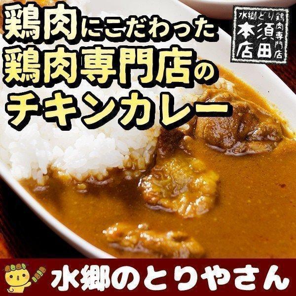 チキンカレー 水郷鶏のチキンカレー２食入 欧風カレー レトルト あすつく