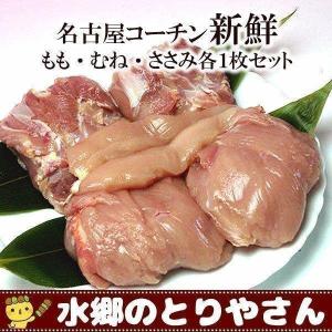 名古屋コーチン 新鮮 もも・むね・ささみ各１枚セット ギフト｜suigodori