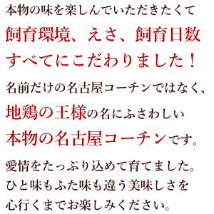 名古屋コーチン 生串 焼き鳥 やきとり 焼鳥 ...の詳細画像1