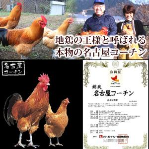 名古屋コーチン 生串 焼き鳥 やきとり 焼鳥 ...の詳細画像2