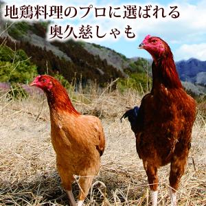 奥久慈しゃも 焼き鳥 もも肉 むね・ささみ 皮...の詳細画像2