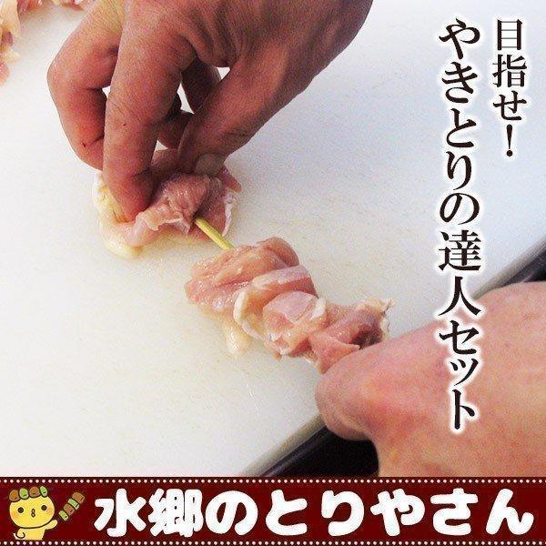 バーベキュー 焼き鳥の達人セット 生 バーベキュー セット BBQ