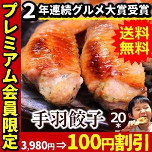 手羽餃子20本入 手羽 餃子 手羽先餃子