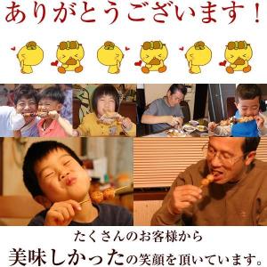 焼き鳥 生串 水郷どりのジュ〜ジュ〜5品セット...の詳細画像2