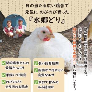 焼き鳥 お試しセット 12本入り タレ焼き 塩...の詳細画像5