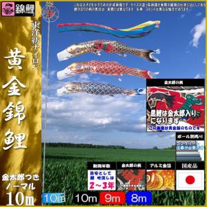 鯉のぼり こいのぼり シルキー鯉 10m 8点 五色吹流し ポール別売り