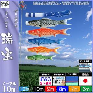 鯉のぼり キング印鯉 1611810 ノーマルセット 瑞宝撥水 10m5匹 瑞宝撥水吹流し 撥水加工 139730057