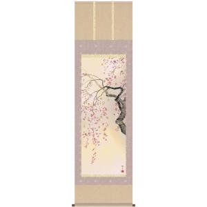 掛け軸 掛軸 桜 森山観月・桜花爛漫 尺五 花鳥画 春 桐箱 風鎮付き
