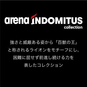アリーナ 競泳水着 レディース arena A...の詳細画像3