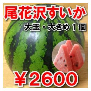 スイカ農家から直送!尾花沢すいか/大玉/大きめ1個...