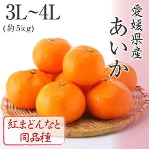(12月上旬より発送) お歳暮 ギフト みかん 送料無料 愛媛県産 あいか 3L〜4L 約5kg 紅まどんなと同品種