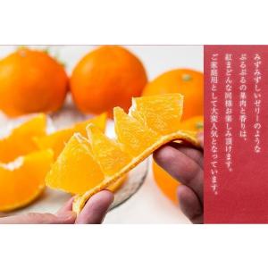 2025 あいか お歳暮 ギフト 3~4Lサイ...の詳細画像3