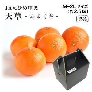 みかん 箱買い 家庭用 紅まどんな 愛果28号 べにまどんな 愛媛県産 約