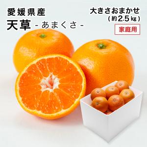 愛媛産 ご家庭用 特に訳ありスイートまどんな 2kg(+約0.2kg多め) 送料