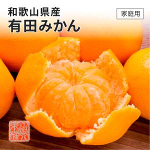2025 有田みかん 温州みかん 2L~3Lサイズ 約2.5kg 家庭用 訳あり 和歌山県産 みかん ミカン フルーツ 11月上旬頃より順次発送