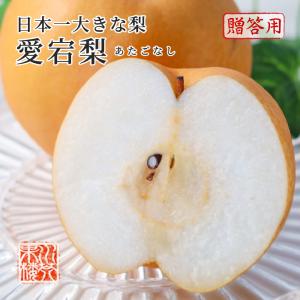 2025 お歳暮 ギフト 岡山県産 あたご梨 秀品 大玉 2玉入り 合計約1.6kg