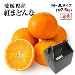 2025 お歳暮 ギフト 紅まどんな M〜3Lサイズ 約2.5kg 赤秀品 愛媛県 フルーツ プレゼント みかん ミカン 12月上旬頃より順次発送 爆買｜水琴果楼