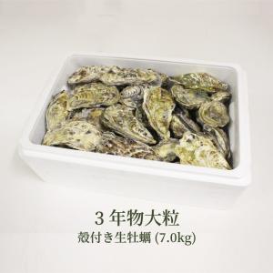 牡蠣 生牡蠣 殻付き牡蠣 約70個 たっぷり約7kg 超大粒 3年物 瀬戸内市邑久町虫明産 特選品 産地直送 カキ かき 加熱用