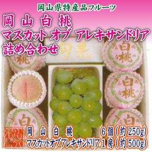 2026 お中元 ギフト プレゼント 岡山県産 ...の商品画像